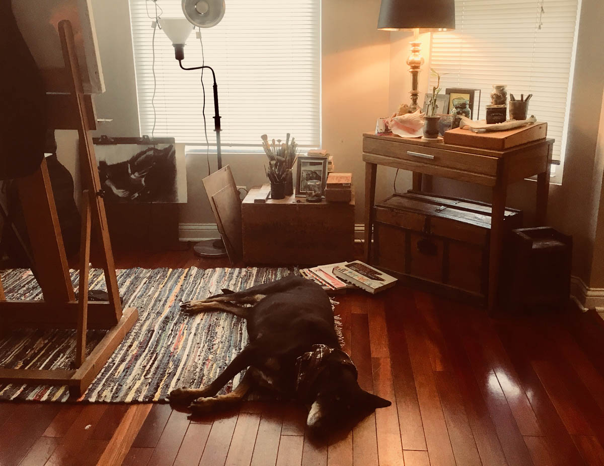 Bessie the big black dog napping on the floor